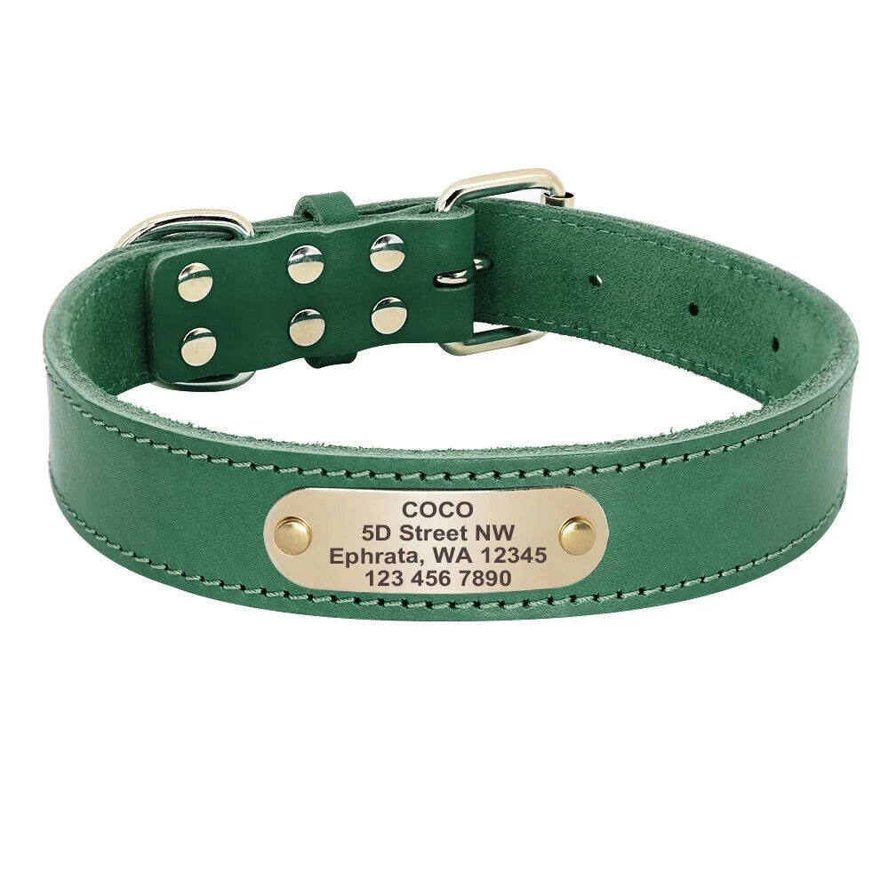 Pet Artist Soft Genuine Leather Personalized Dog Collar