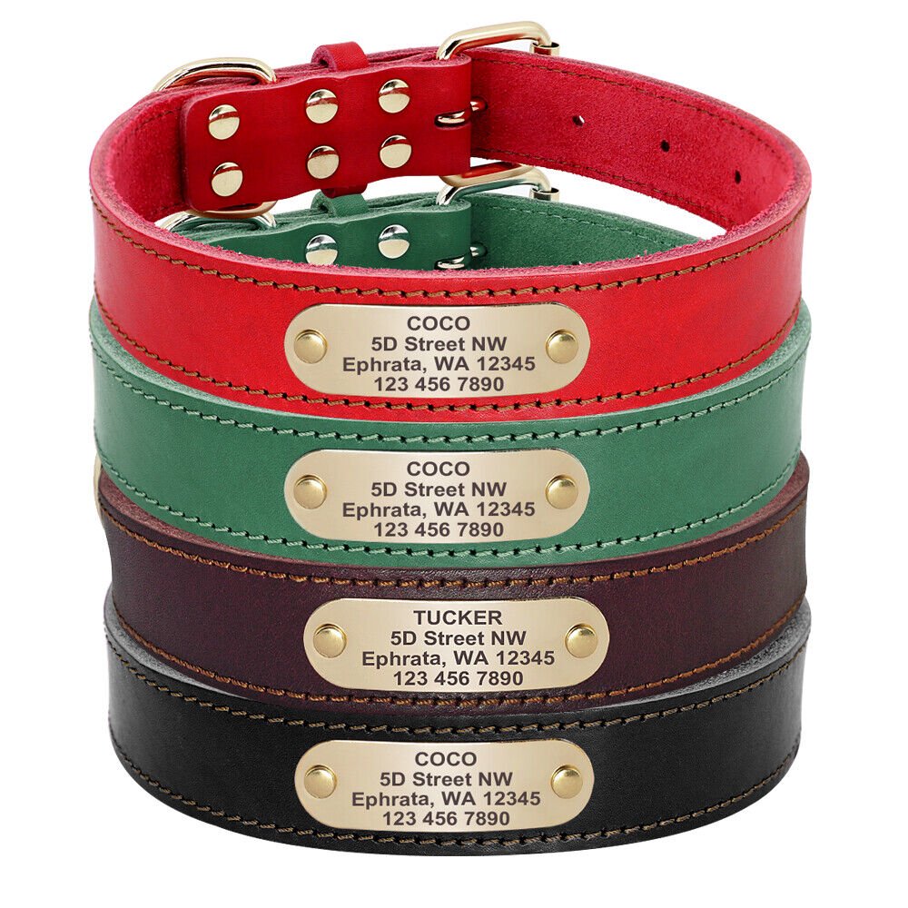 Pet Artist Soft Genuine Leather Personalized Dog Collar
