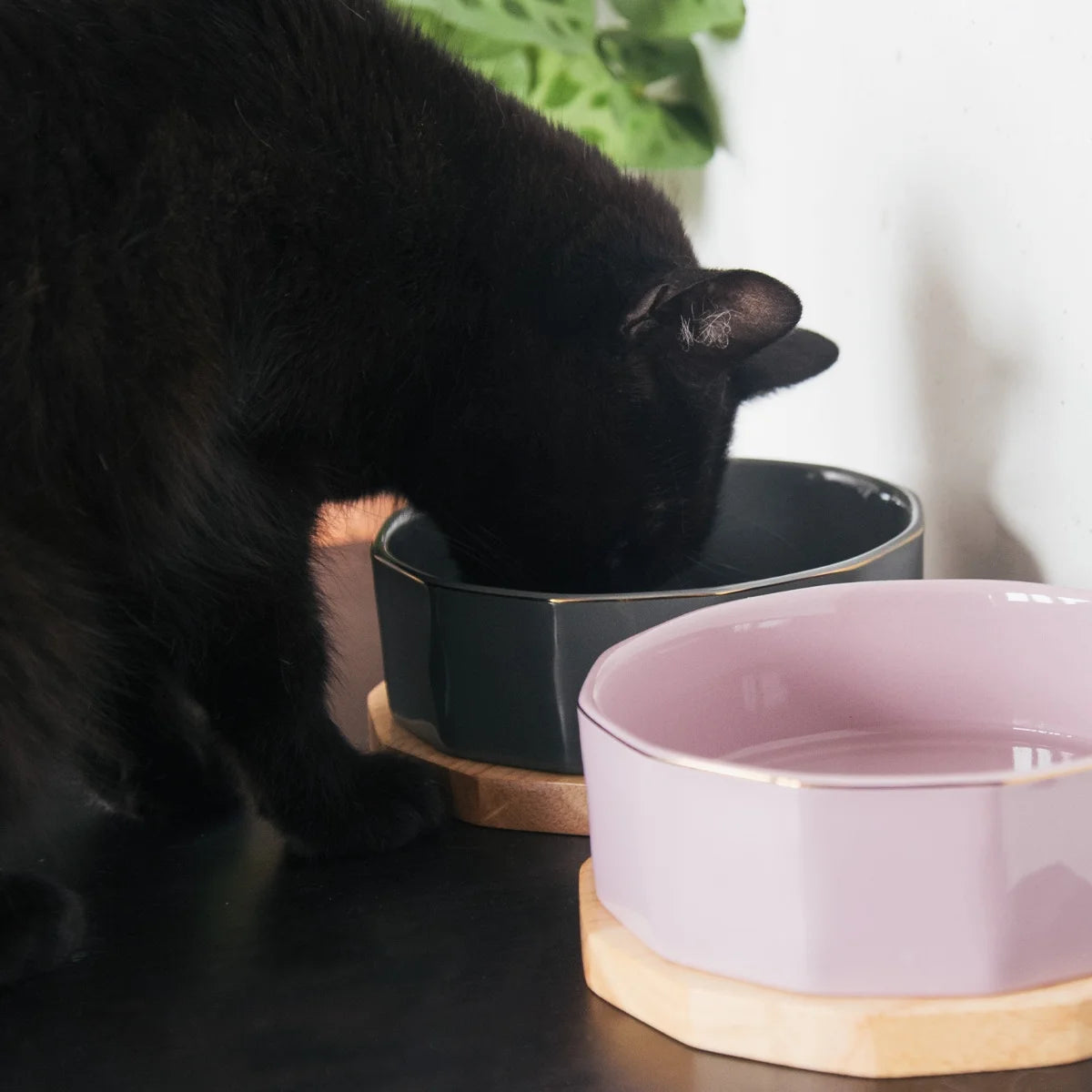 Navaris Ceramic Pet Bowls Set