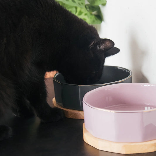 Navaris Ceramic Pet Bowls Set