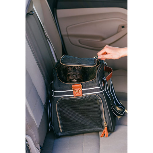 Vibrant Life Small Pet Travel Carrier