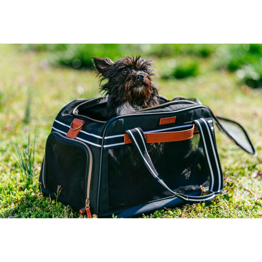 Vibrant Life Small Pet Travel Carrier