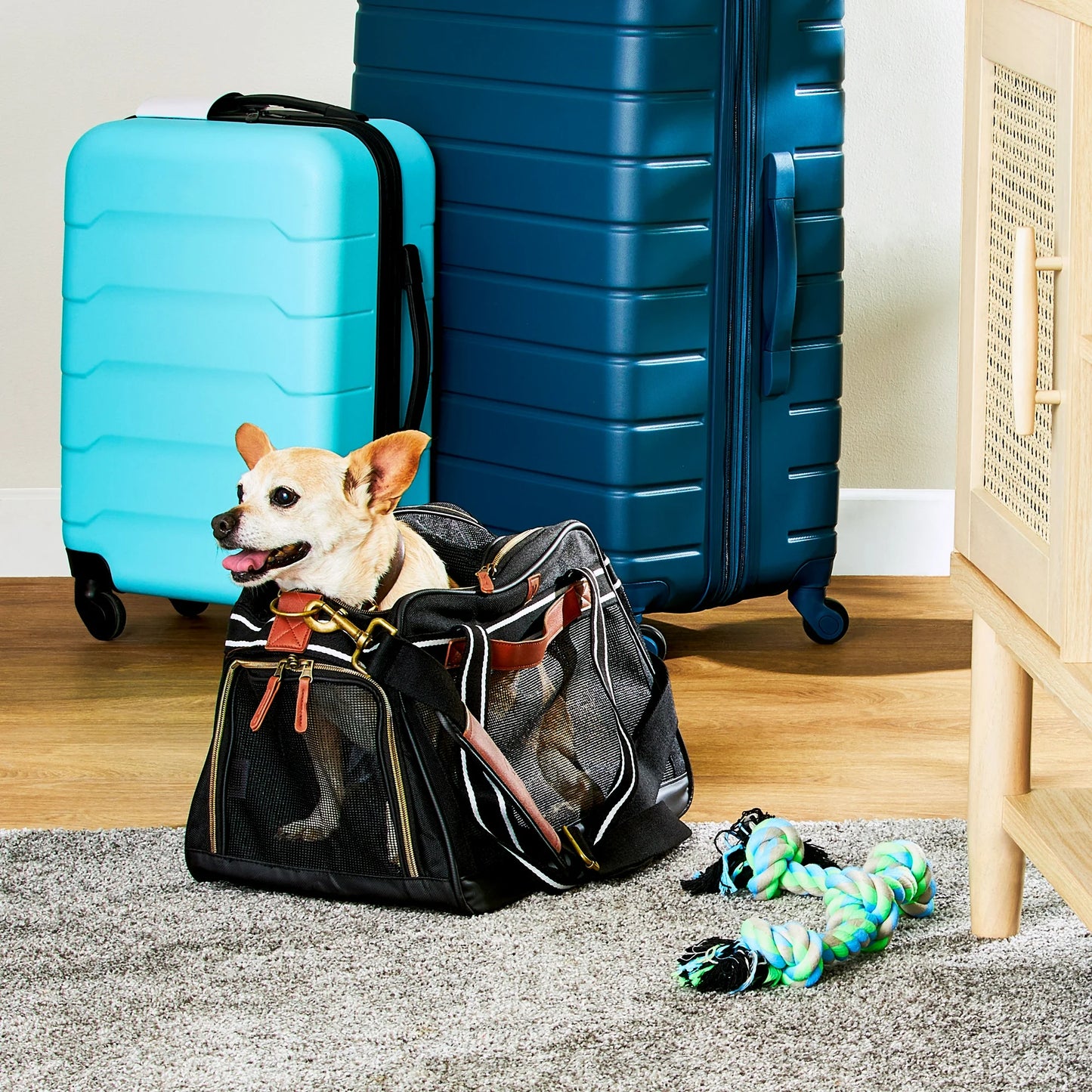 Vibrant Life Small Pet Travel Carrier
