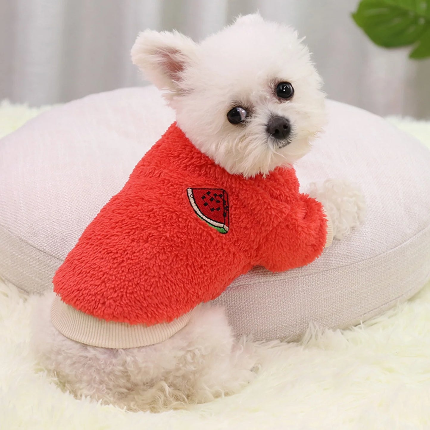 Walbest Cute Dog Cat Puppy Clothing Sweater Cartoon Fruit Pattern Small Puppy Shirt Soft Pet Cat Coats