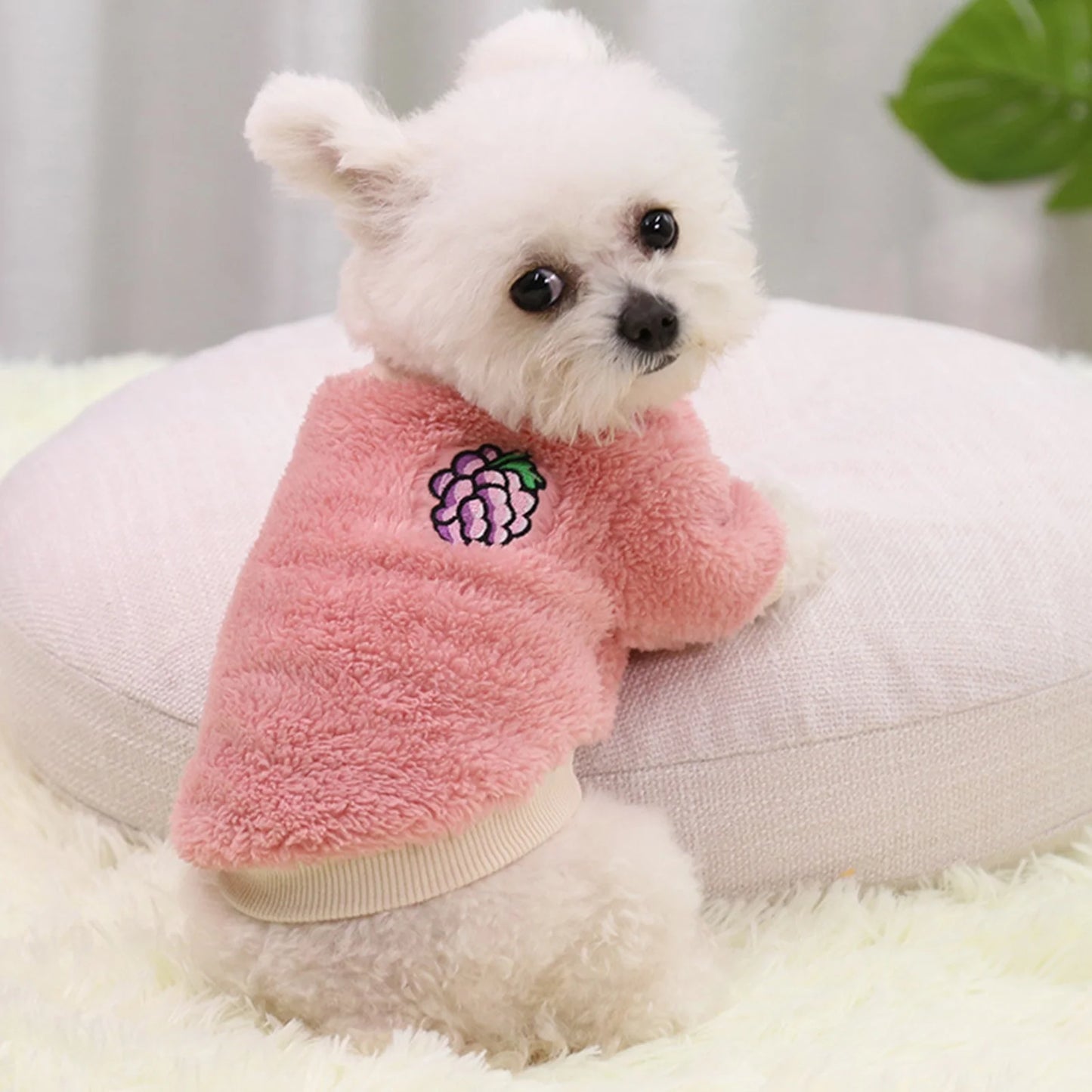 Walbest Cute Dog Cat Puppy Clothing Sweater Cartoon Fruit Pattern Small Puppy Shirt Soft Pet Cat Coats