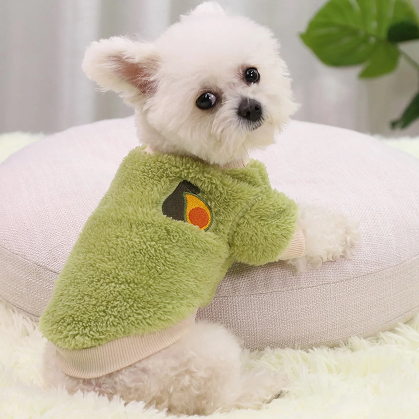 Walbest Cute Dog Cat Puppy Clothing Sweater Cartoon Fruit Pattern Small Puppy Shirt Soft Pet Cat Coats