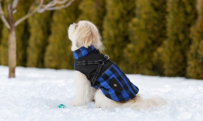 Dog Winter Coat, Plaid Zipper Jacket, Red, Blue, Yellow Dog Fleece Jacket Plaid Dog Vest Waterproof Windproof Cold Weather Dog Clothes Pet Apparel